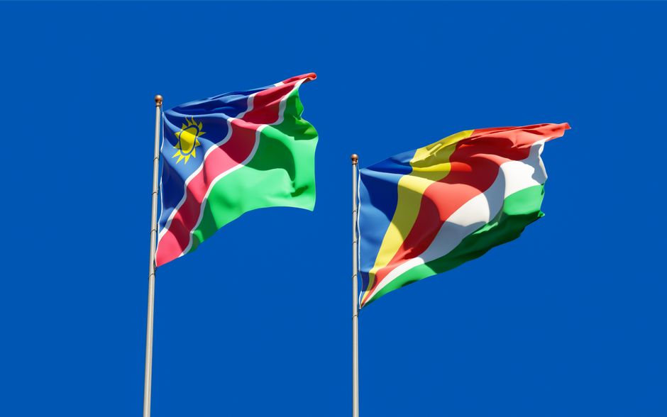 Drapeaux du monde (Photo : Leonid Altman / Pexels)